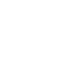 Pars & Pints Local Bar Content